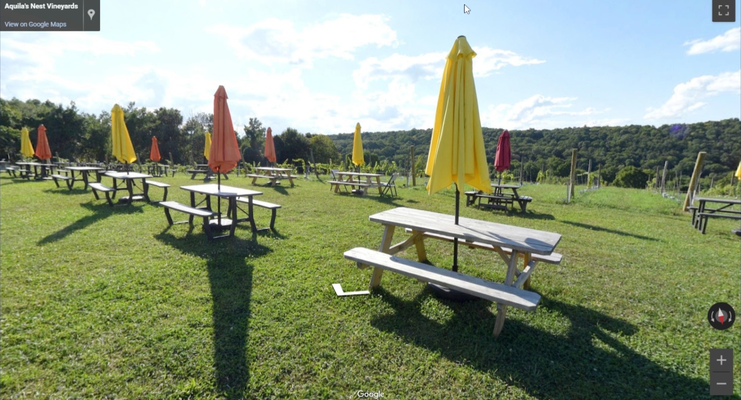 Aquila's Nest Vineyards